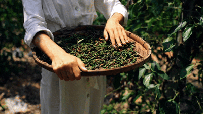 Coffee showcase animation